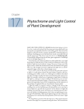 Plant physiology - Chapter  17  Phytochrome and Light Control of Plant Development