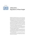 Plant physiology - Chapter  20  Gibberellins: Regulators of Plant Height