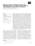 Báo cáo khoa học: Molecular cloning, recombinant expression and IgE-binding epitope of x-5 gliadin, a major allergen in wheat-dependent exercise-induced anaphylaxis