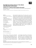 Báo cáo khoa học: The light-harvesting antenna of the diatom Phaeodactylum tricornutum Evidence for a diadinoxanthin-binding subcomplex