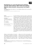 Báo cáo khoa học: Identiﬁcation of a novel thyroid hormone-sulfating cytosolic sulfotransferase, SULT1 ST5, from zebraﬁsh Molecular cloning, expression, characterization and ontogenic study