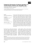 Báo cáo khoa học: Probing the determinants of substrate speciﬁcity of a feruloyl esterase, AnFaeA, from Aspergillus niger