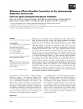 Báo cáo khoa học: Selenium affects biosilica formation in the demosponge Suberites domuncula Effect on gene expression and spicule formation