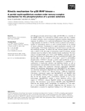 Báo cáo khoa học: Kinetic mechanism for p38 MAP kinase a A partial rapid-equilibrium random-order ternary-complex mechanism for the phosphorylation of a protein substrate