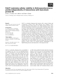 Báo cáo khoa học: Cdc37 maintains cellular viability in Schizosaccharomyces pombe independently of interactions with heat-shock protein 90