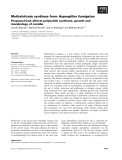 Báo cáo khoa học: Methylcitrate synthase from Aspergillus fumigatus Propionyl-CoA affects polyketide synthesis, growth and morphology of conidia