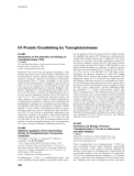 Báo cáo khoa học: H1-Protein Crosslinking by Transglutaminases