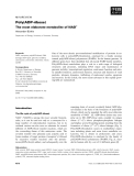 Báo cáo khoa học:  Poly(ADP-ribose) The most elaborate metabolite of NAD+ Alexander Burkle 