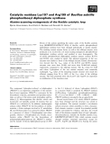 Báo cáo khoa học: Catalytic residues Lys197 and Arg199 ofBacillus subtilis phosphoribosyl diphosphate synthase Alanine-scanning mutagenesis of the flexible catalytic loop