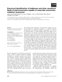 Báo cáo khoa học: Structural identiﬁcation of ladderane and other membrane lipids of planctomycetes capable of anaerobic ammonium oxidation (anammox)