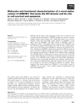 Báo cáo khoa học: Molecular and functional characterization of a novel splice variant of ANKHD1 that lacks the KH domain and its role in cell survival and apoptosis