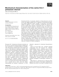 Báo cáo khoa học: Biochemical characterization of the native Kv2.1 potassium channel