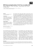 Báo cáo khoa học: BCR kinase phosphorylates 14-3-3 Tau on residue 233