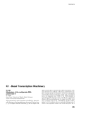 Báo cáo khoa học: K1 - Basal Transcription Machinery