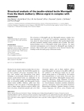 Báo cáo khoa học: Structural analysis of the jacalin-related lectin MornigaM from the black mulberry (Morus nigra) in complex with mannose