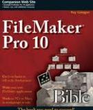 FileMaker Pro 10 application