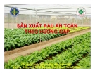 SẢN XUẤT RAU AN TOÀN THEO HƯỚNG GAP