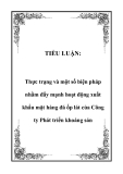 TIỂU LUẬN:  Thực trạng và một số biện pháp nhằm đẩy mạnh hoạt động xuất khẩu mặt hàng đá ốp lát của Công ty Phát triển khoáng sản