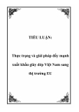 TIỂU LUẬN:  Thực trạng và giải pháp đẩy mạnh xuất khẩu giày dép Việt Nam sang thị trường EU