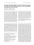 Báo cáo khoa học:  The distinct nucleotide binding states of the transporter associated with antigen processing (TAP) are regulated by the nonhomologous C-terminal tails of TAP1 and TAP2