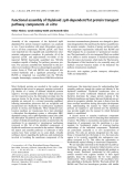 Báo cáo khoa học:  Functional assembly of thylakoid DpH-dependent/Tat protein transport pathway components in vitro