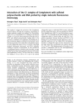 Báo cáo khoa học:  Interaction of the C1 complex of Complement with sulfated polysaccharide and DNA probed by single molecule ﬂuorescence microscopy