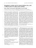 Báo cáo khoa học:  Photodynamic treatment and H2O2-induced oxidative stress result in different patterns of cellular protein oxidation