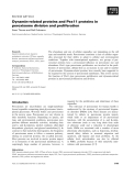 Báo cáo khoa học: Dynamin-related proteins and Pex11 proteins in peroxisome division and proliferation