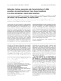 Báo cáo khoa học:  Molecular cloning, expression and characterization of cDNA encoding cis-prenyltransferases from Hevea brasiliensis A key factor participating in natural rubber biosynthesis