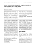 Báo cáo khoa học: Cloning, characterization and expression analysis of interleukin-10 from the common carp, Cyprinus carpio L.