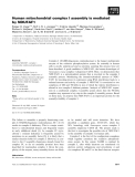 Báo cáo khoa học: Human mitochondrial complex I assembly is mediated by NDUFAF1