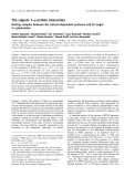 Báo cáo khoa học: The calpain 1–a-actinin interaction Resting complex between the calcium-dependant protease and its target in cytoskeleton