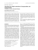 Báo cáo khoa học: Unraveling the catalytic mechanism of lactoperoxidase and myeloperoxidase A reﬂection on some controversial features Elena Ghibaudi and Enzo Laurenti