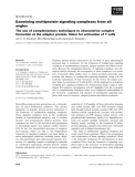 Báo cáo khoa học:  Examining multiprotein signaling complexes from all angles The use of complementary techniques to characterize complex formation at the adapter protein, linker for activation of T cells