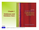 Databases and  Database Users 