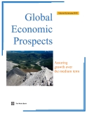 Global Economic Prospects Assuring growth over the medium term