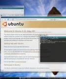 Hướng Dẫn Ubuntu Desktop 11.10 - VN