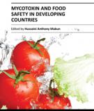 My cotoxin and food safety in developing countries