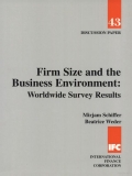 Firm size and the business environment: Worldwide survey results