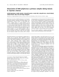 Báo cáo khoa học: Dissociation of DNA polymerase a-primase complex during meiosis in Coprinus cinereus