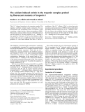 Báo cáo khoa học:  The calcium-induced switch in the troponin complex probed by ﬂuorescent mutants of troponin I