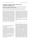 Báo cáo khoa học:  The oxygenase component of phenol hydroxylase from Acinetobacter radioresistens S13