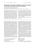 Báo cáo khoa học:  Identiﬁcation of amino acids in antiplasmin involved in its noncovalent ‘lysine-binding-site’-dependent interaction with plasmin