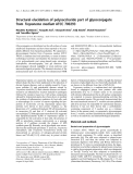 Báo cáo khoa học: Structural elucidation of polysaccharide part of glycoconjugate from Treponema medium ATCC 700293