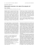 Báo cáo khoa học:  Mitochondrial connection to the origin of the eukaryotic cell