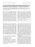 Báo cáo khoa học:  Accessory proteins functioning selectively and pleiotropically in the biosynthesis of [NiFe] hydrogenases in Thiocapsa roseopersicina