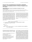 Báo cáo khoa học: Structure of the exceptionally large nonrepetitive carbohydrate backbone of the lipopolysaccharide of Pectinatus frisingensis strain VTT E-82164