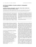 Báo cáo khoa học: p53-induced inhibition of protein synthesis is independent of apoptosis