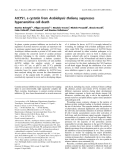 Báo cáo khoa học:  AtCYS1, a cystatin from Arabidopsis thaliana, suppresses hypersensitive cell death