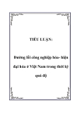 TIỂU LUẬN:  Đường lối công nghiệp hóa- hiện đại hóa ở Việt Nam trong thời kỳ quá độ